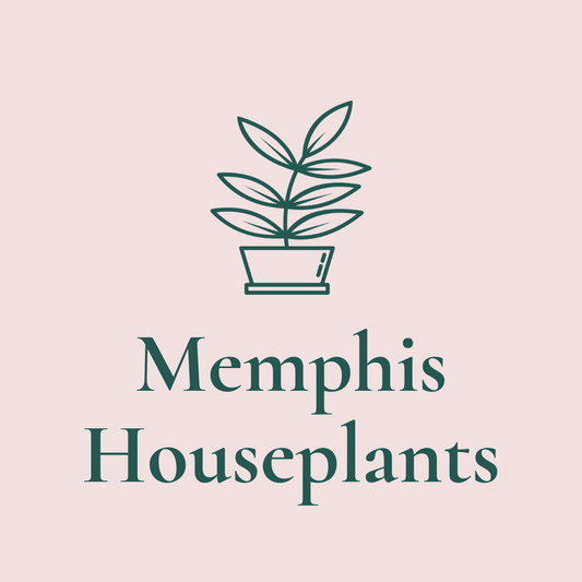 MemphisHouseplants.com Welcomes You Into Our Process!
